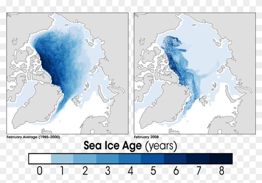 Arctic Sea Ice Age2008 - Average Arctic Sea Ice Age Clipart #5751374