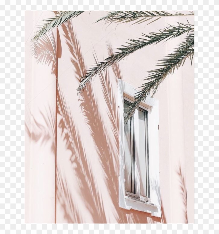 #aesthetic #png #pictures #cgnyb #edit #overlay #pink - Photography Clipart