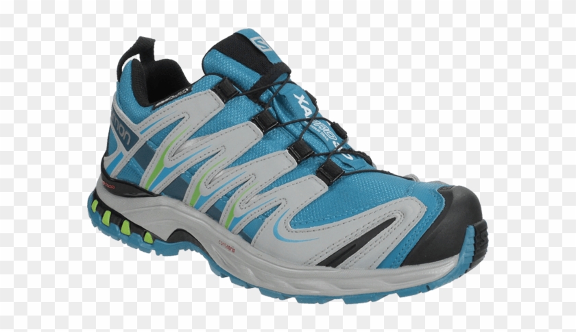 Running Shoe Clipart