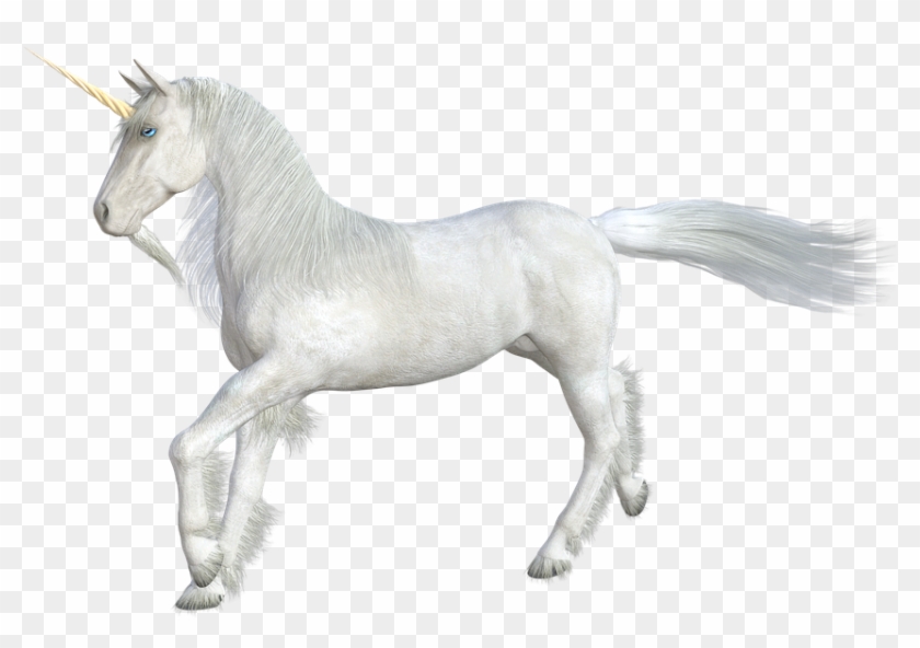 Unicorn Horse Mythical Creatures Horn Fairy Tales - Unicorn Clipart