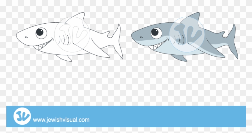 Illustration , Png Download - Great White Shark Clipart #5754733