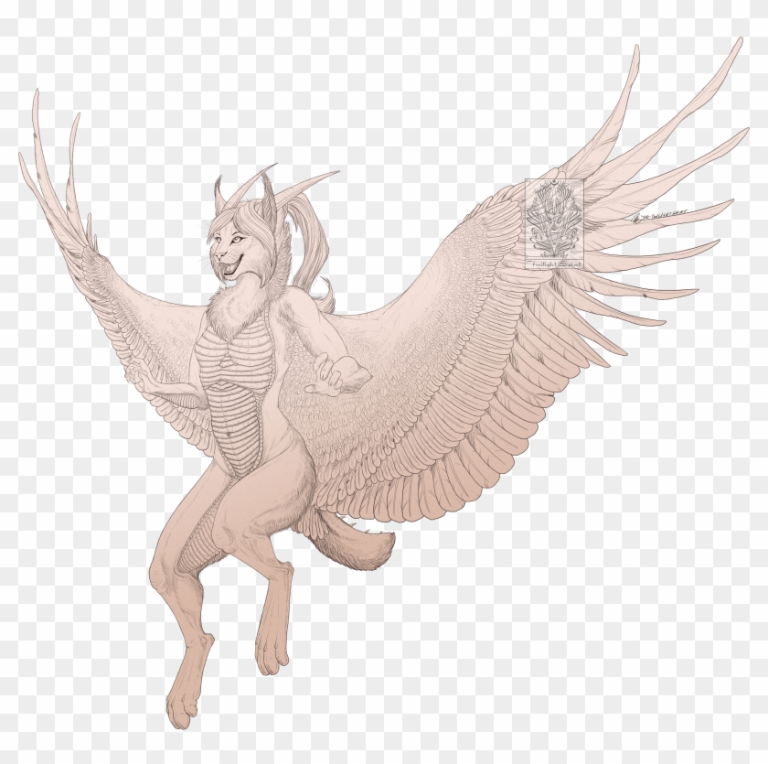 Some Light Gliding - Illustration Clipart