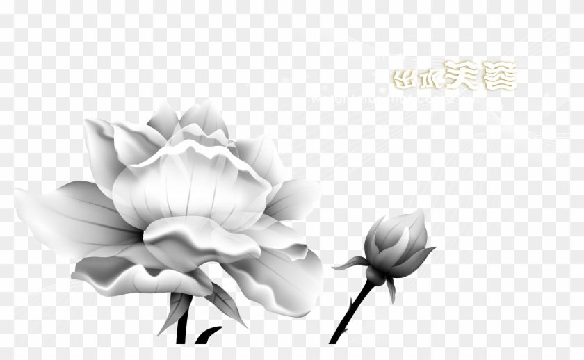 Paper Sticker Wallpaper Ink Lotus Transprent Png - Sacred Lotus Clipart #5758088