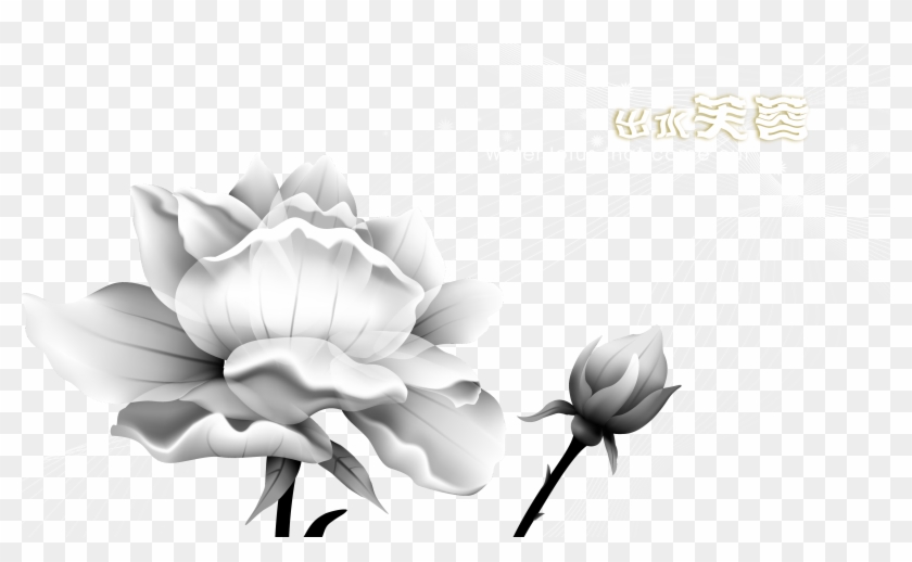 Paper Sticker Wallpaper Ink Lotus Transprent Png - Sacred Lotus Clipart