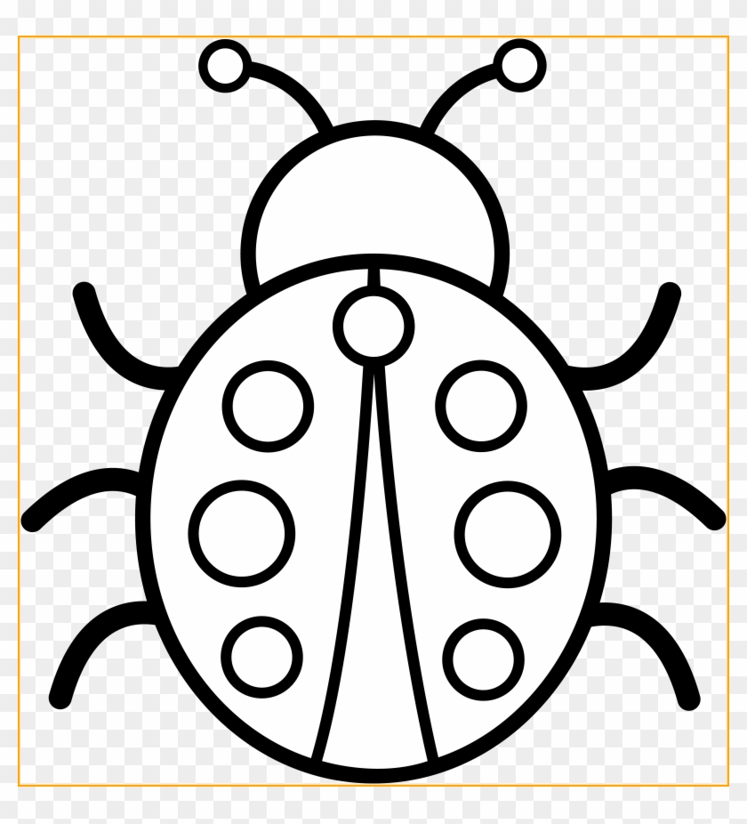 Graphic Library Library The Best Colorable Ladybug - Colouring Images Of Bug Clipart #5759821