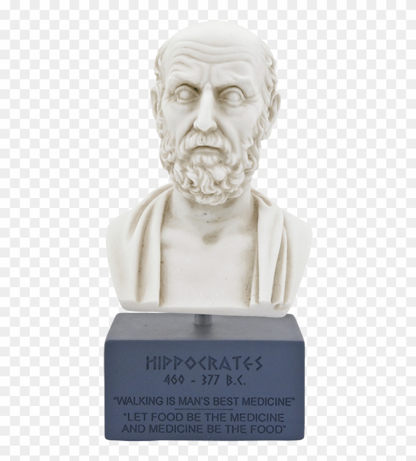 Ιπποκράτης Με Βάση - Bust Clipart #5760748