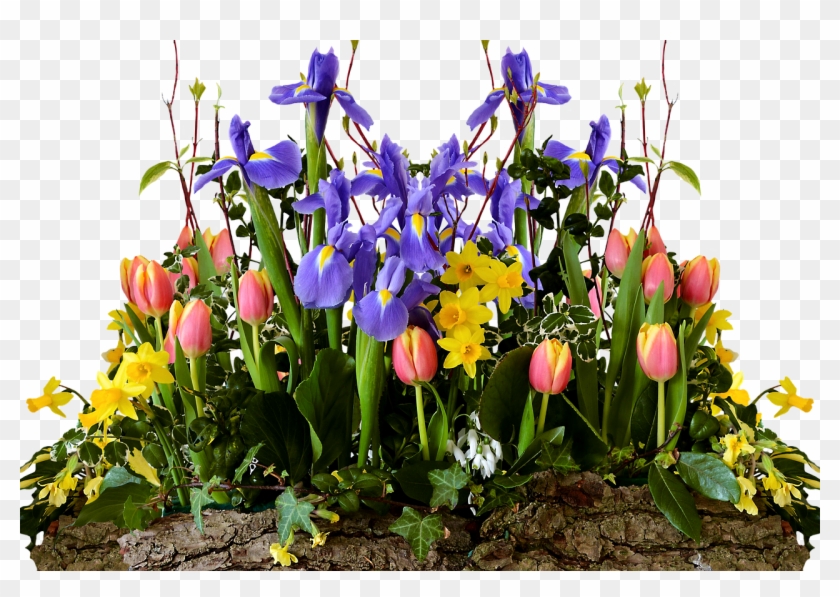 Spring Flowers Transparent Png Clipart