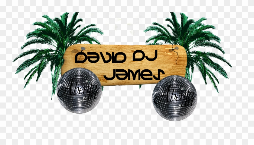 Wrecking Ball - Attalea Speciosa Clipart