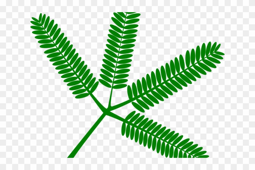 Bush Clipart Vascular Plant - Emerald N Ruby Necklace - Png Download #5762842