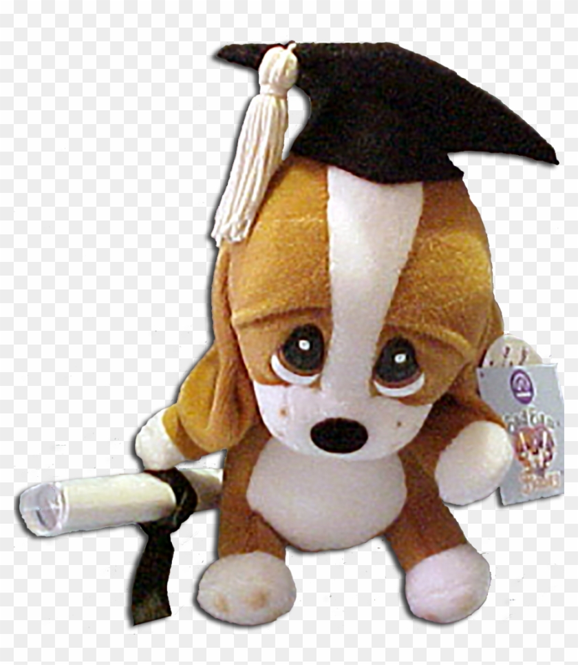 Graduation Plush Sad Sam With Personable Diploma Basset - Sad Sam Clipart #5763562