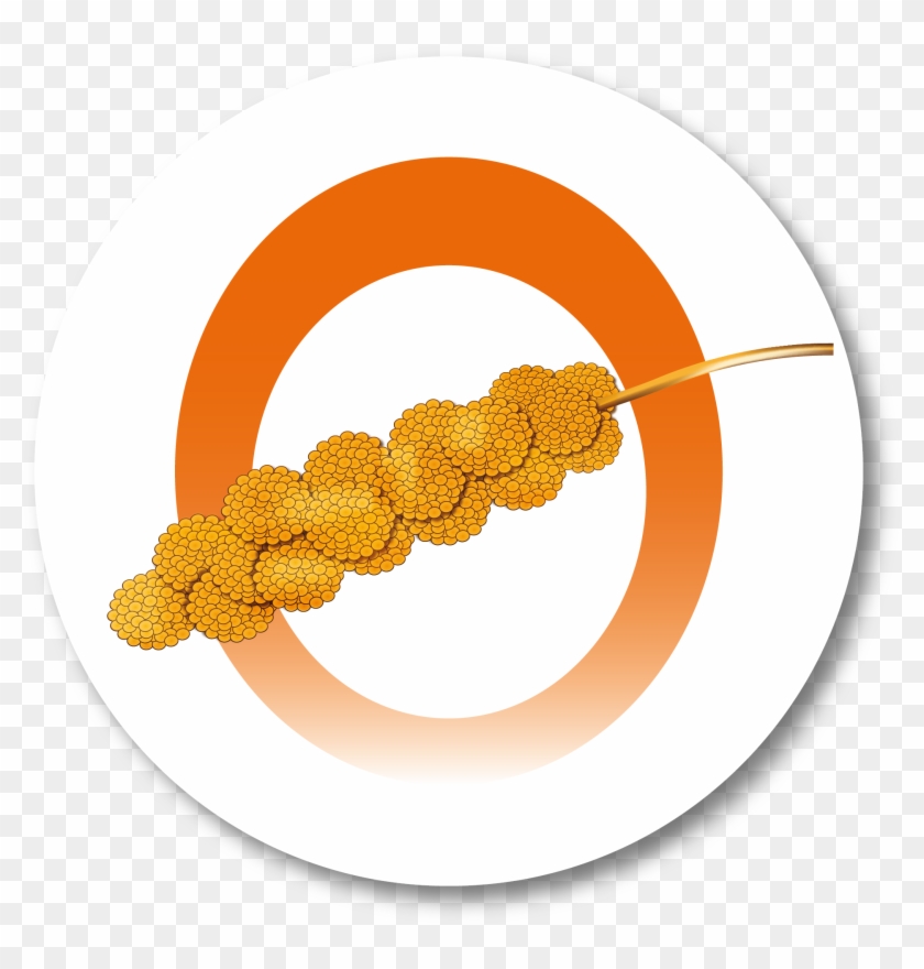 Inicie - Circle Clipart #5764455