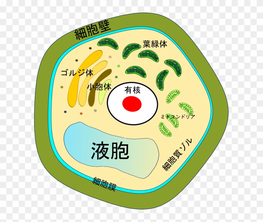 Japan Cell - Zombie Smiley Face Clipart