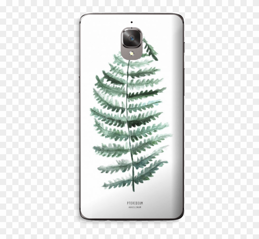 Pteridium Aquilinum Skin Oneplus - Fern Clipart #5766674