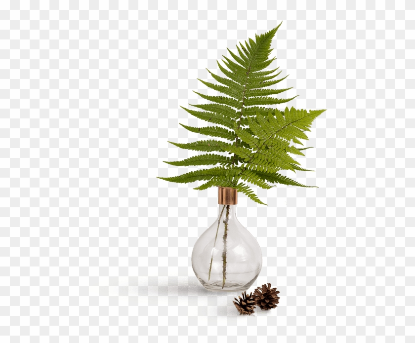 Thumbnail - Vase Clipart #5766708