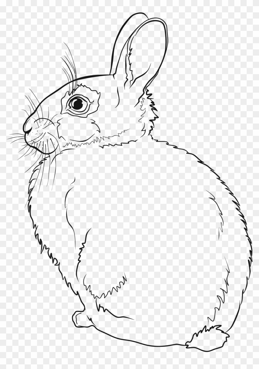 This Free Icons Png Design Of Rabbit Line Art - Rabbit Line Art Clipart