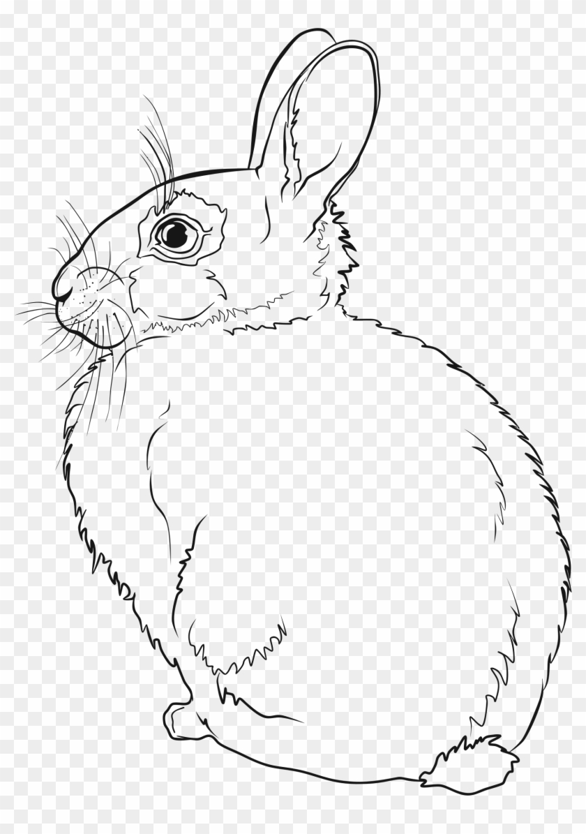 This Free Icons Png Design Of Rabbit Line Art - Rabbit Line Art Clipart #5766916