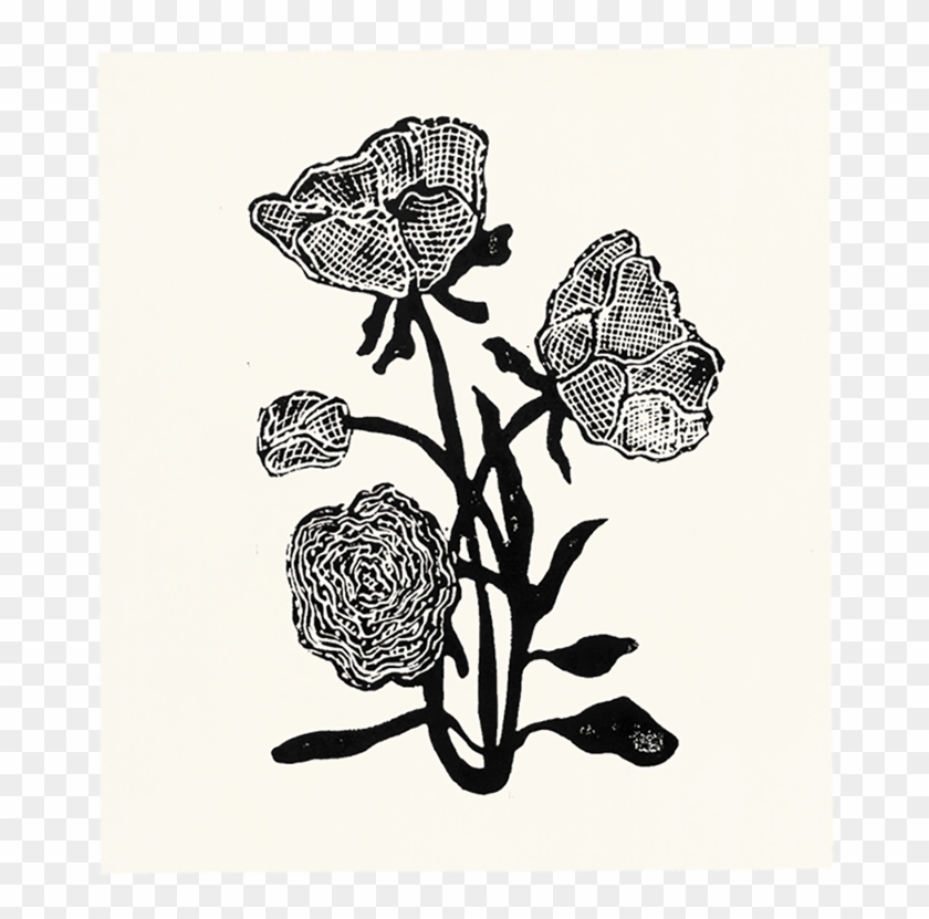 Hugo Guinness Framed Prints Clipart