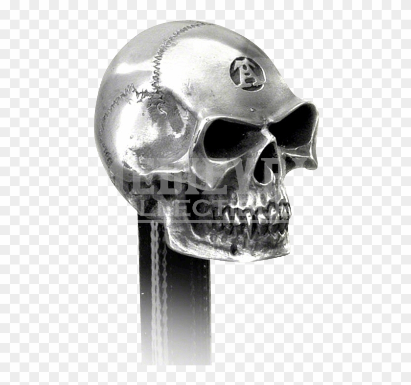 Skull Clipart #5768024