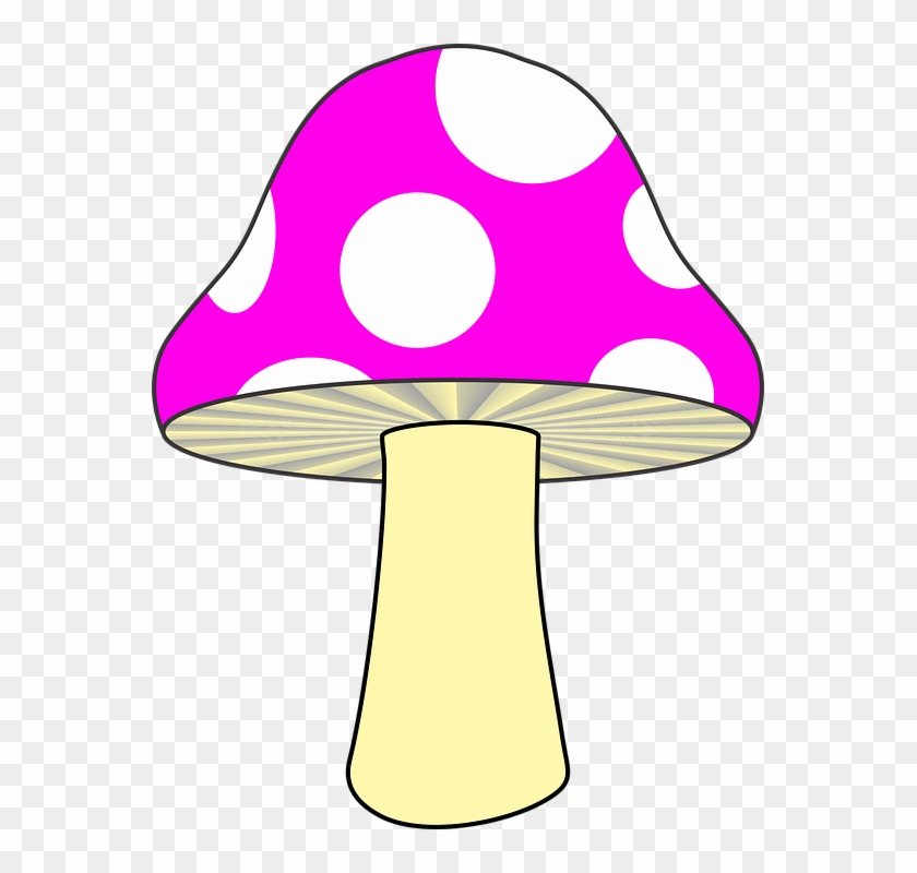 Seta, Naturaleza, Rosa De Setas, Seta De Color Rosa - ภาพ เห็ด การ์ตูน Clipart