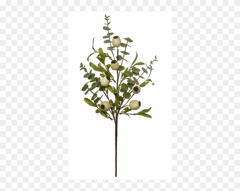 33008314 - Twig Clipart