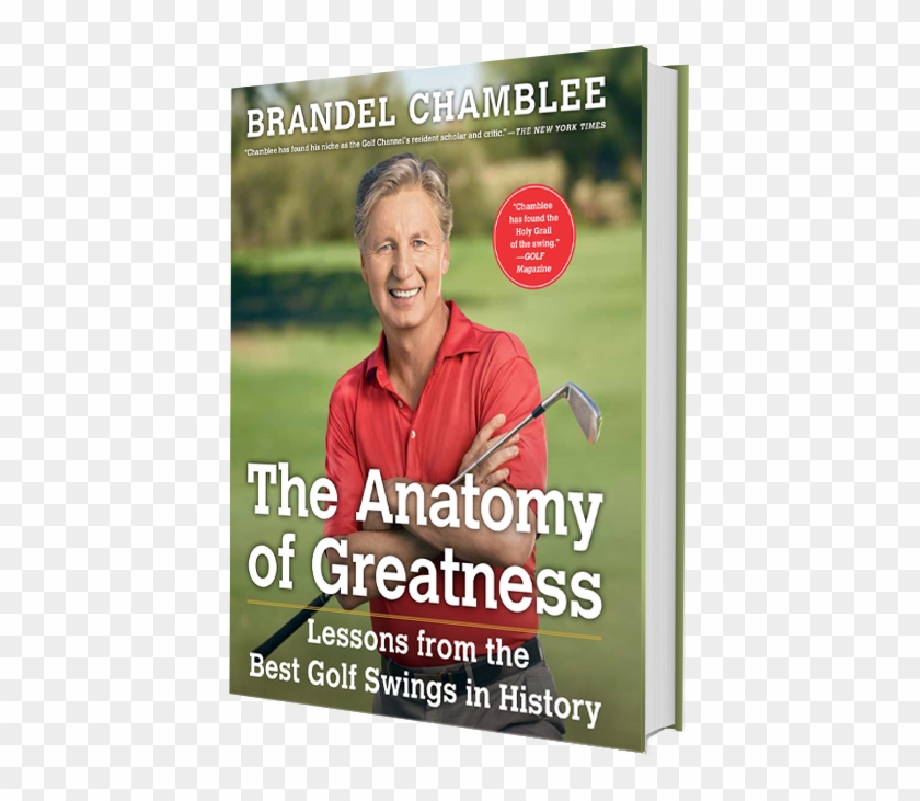 Brandel-side - “ - Anatomy Of Greatness Clipart #5775379