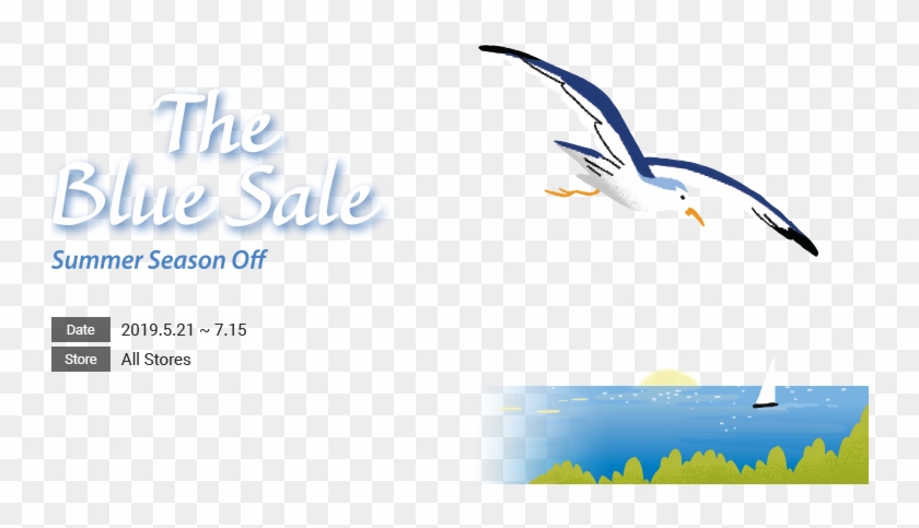 Gull Clipart #5776989