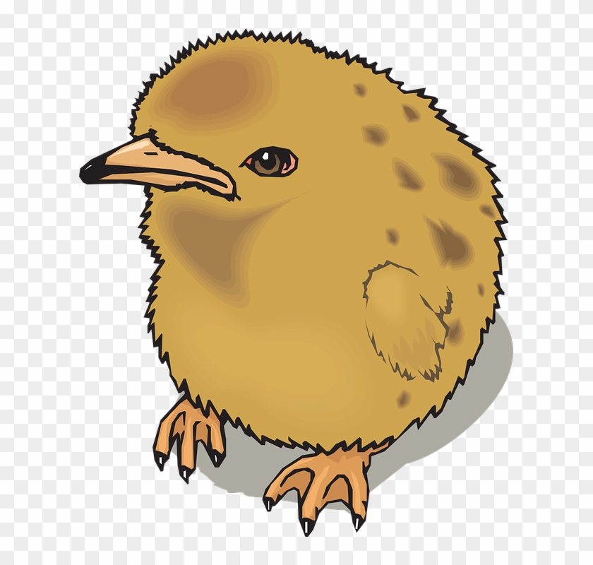 Chick Baby Chicken Farm Animal Poultry Livestock - Bird Vector Clipart #5777654