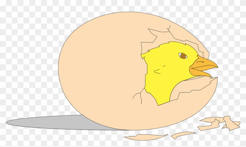Animasi Telur Ayam Menetas Clipart