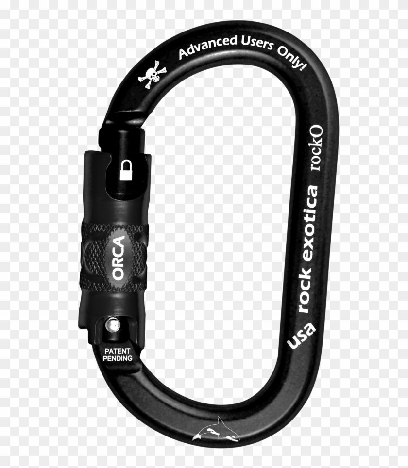 Rock Exotica Rock O Clipart