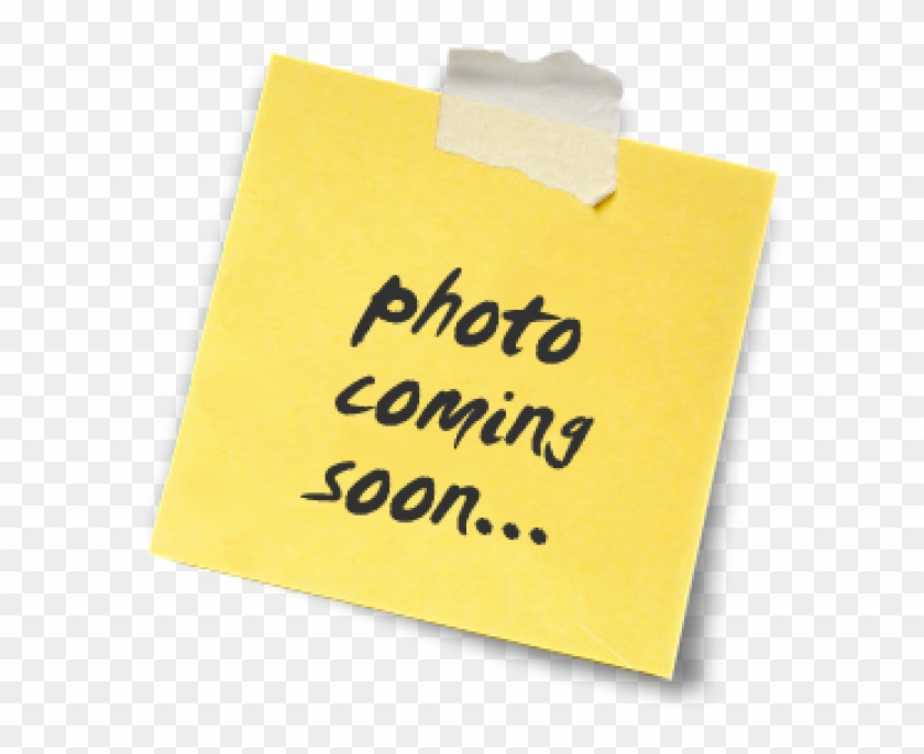 Bundy - Great Dane - Adoption Pending - Coming Soon Clipart #5778045