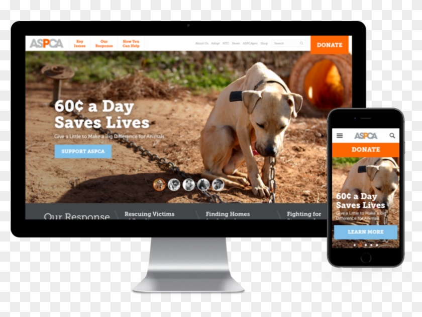 Aspca Site Display - Maus Tratos Contra Animais Clipart #5781343