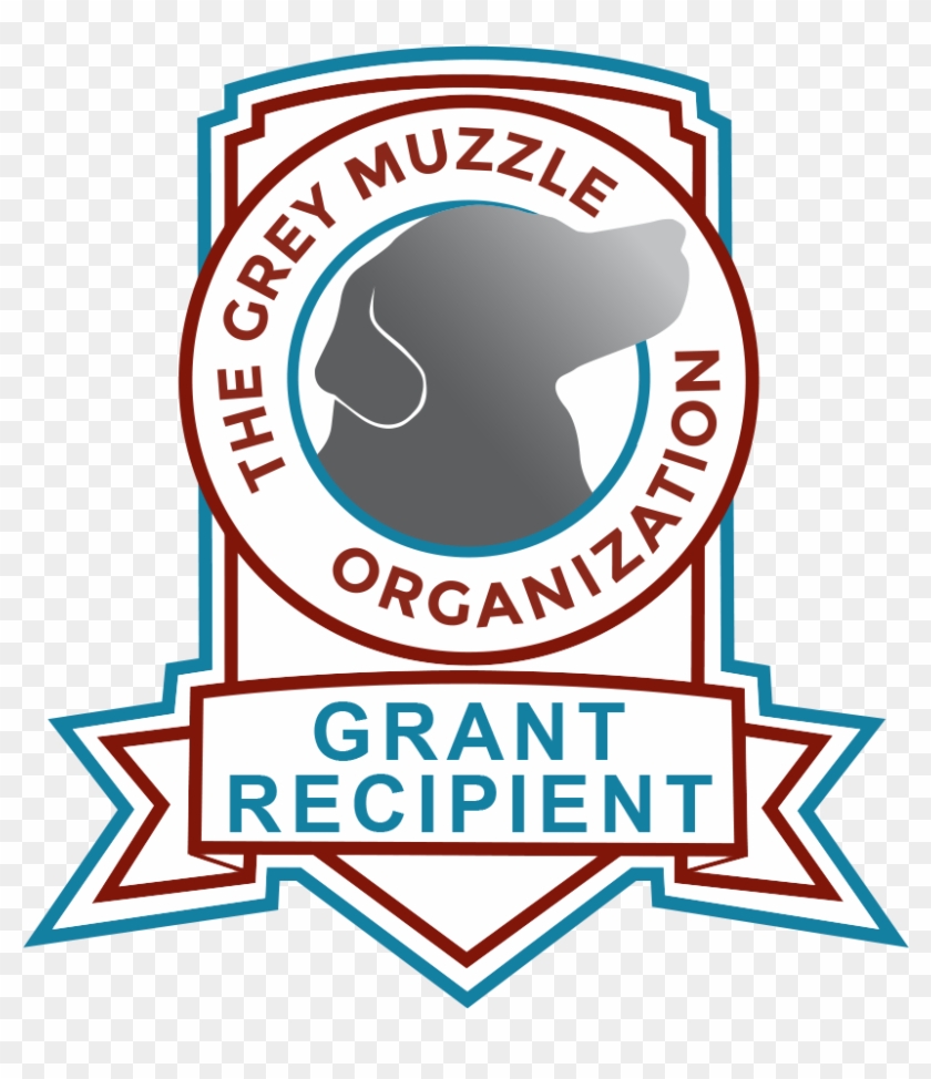 Connecticut Humane Society Clipart #5781375