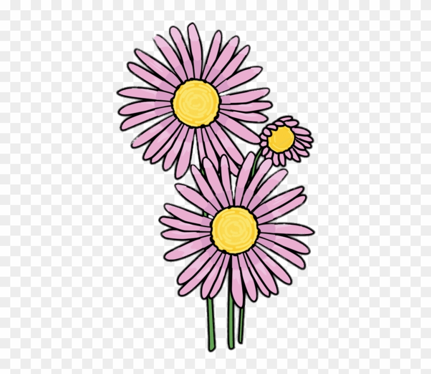 Download Pink Aster Clipart Transparent Png - Aster Flower Drawing #5781567