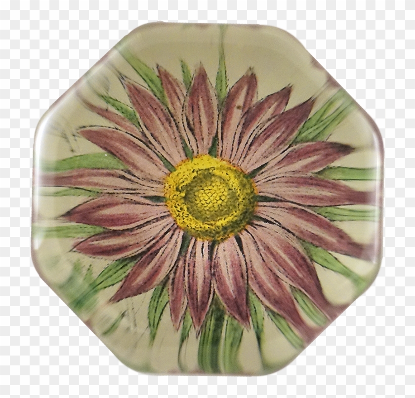 Spanish Daisy Clipart