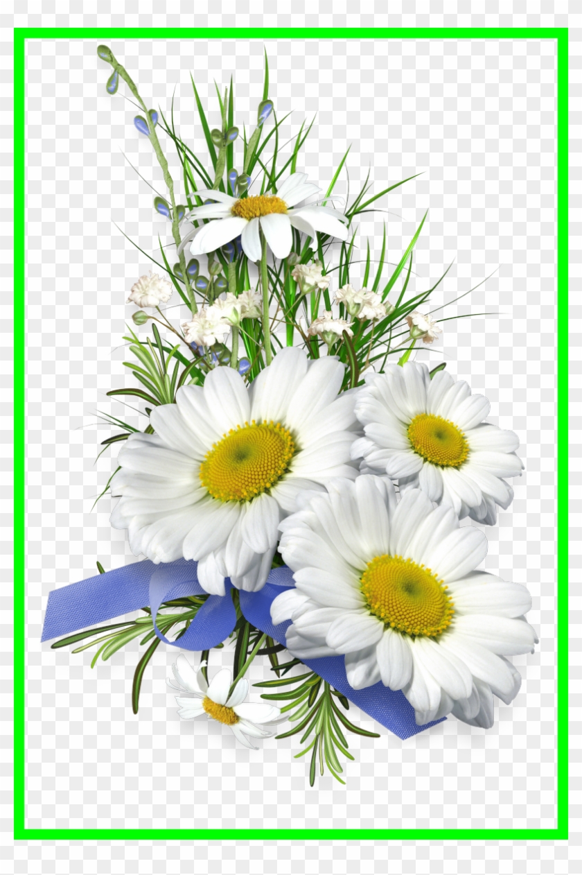 Aster Flower Clipart - Пусть Будет Здоровье Хорошим Любой День Погожим - Png Download #5782643