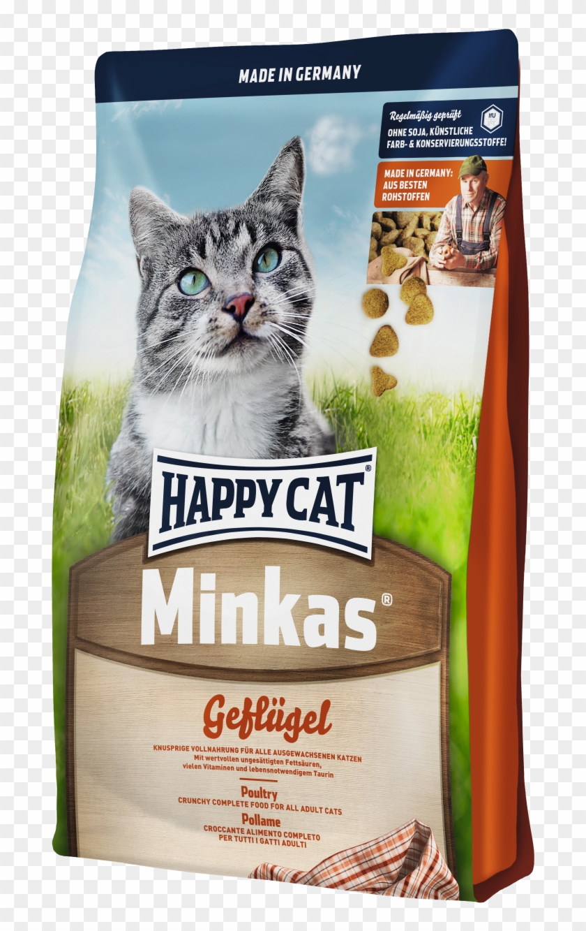 Happy Cat Minkas Kitten Clipart #5784756