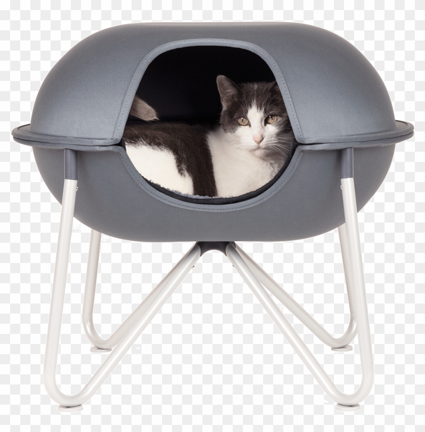 At Hepper We Design Solutions To Everyday Pet Problems, - Pod Cats Clipart #5785057