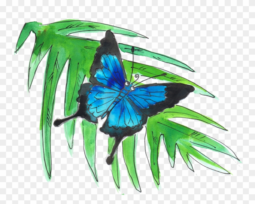 Ulysses Butterfly - Swallowtail Butterfly Clipart
