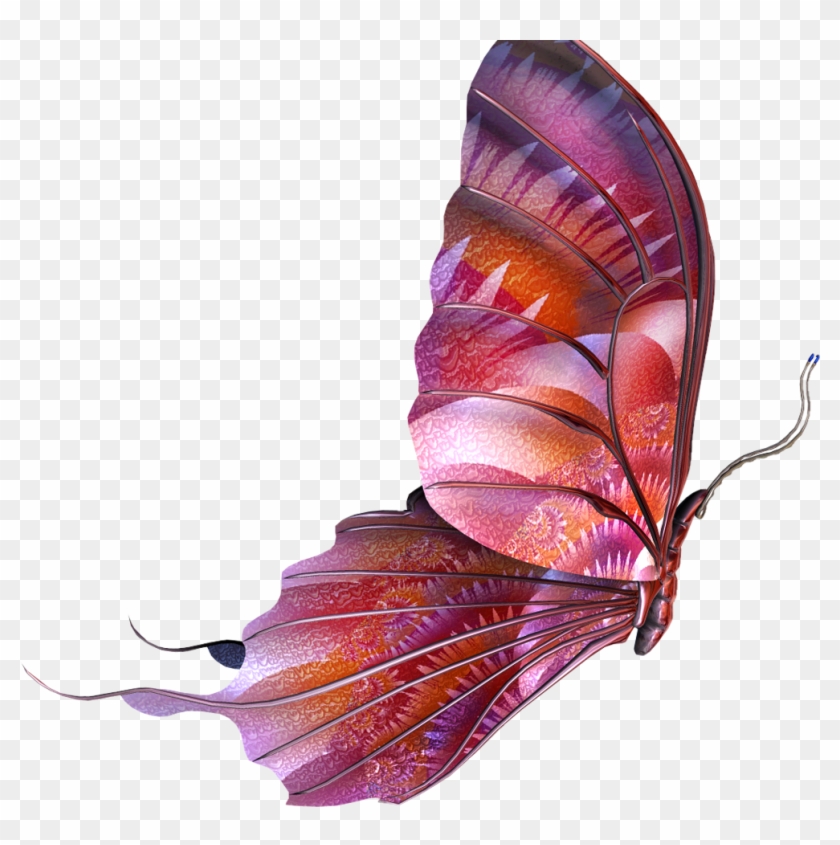 Butterfly Psd Clipart