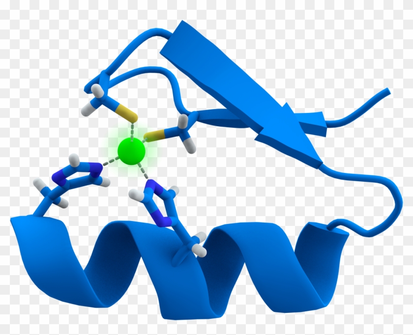 Zinc Finger Rendered - Zinc Finger Protein Clipart