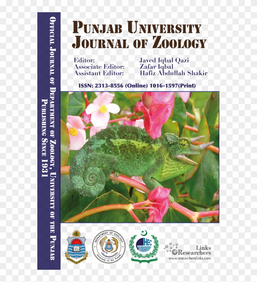 Dilute Sulphuric Acid Pretreatment Optimization Of - Government Of Pakistan Clipart #5786706