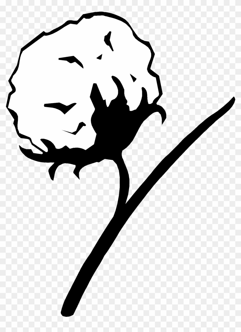Cotton Plant Drawing , Png - Cotton Plant Drawing Clipart (#5786776) - PikPng