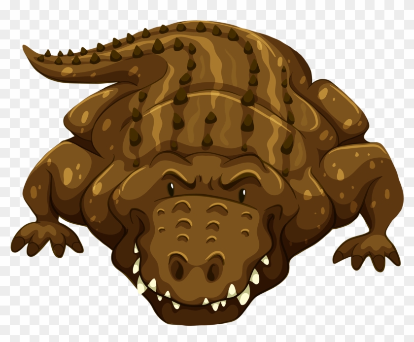 Front On View Of A Crocodile Clipart