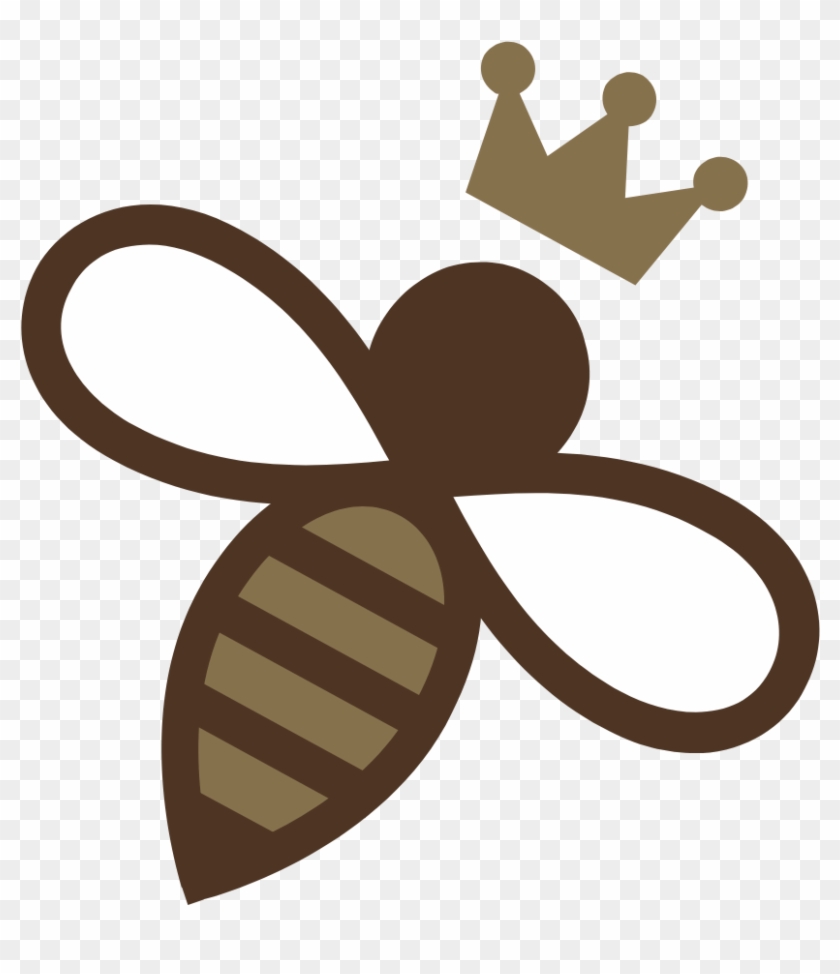 Droga Chocolates , Png Download Clipart