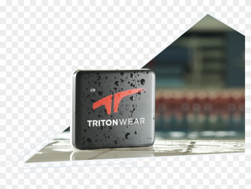 Eastern Newt Clipart #5790171