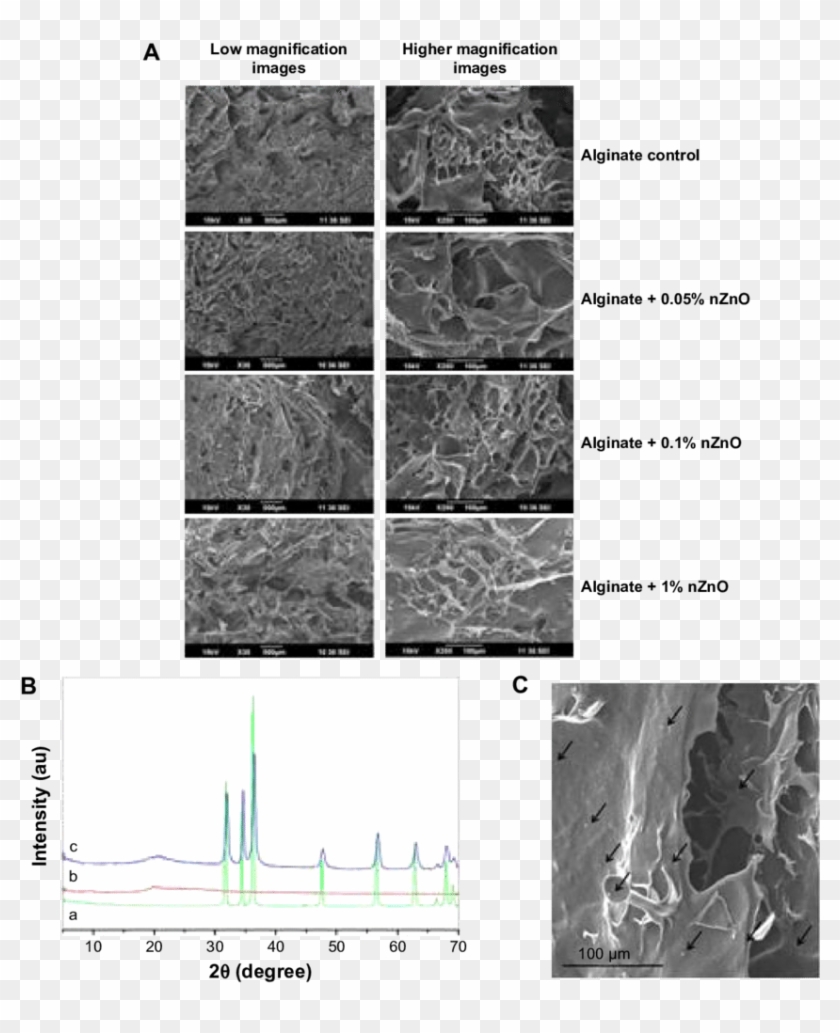 Physico-chemical Charecterisation Of Alginate Hydrogel/nzno - Igneous Rock Clipart