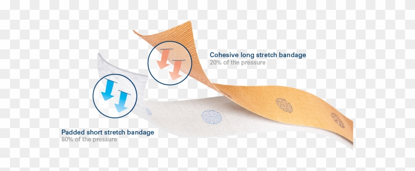 Association Of A Short Stretch Bandage That Provides - Cartoon Clipart #5792121