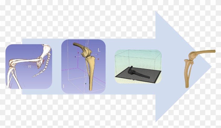 Figure - Blue Jay Clipart