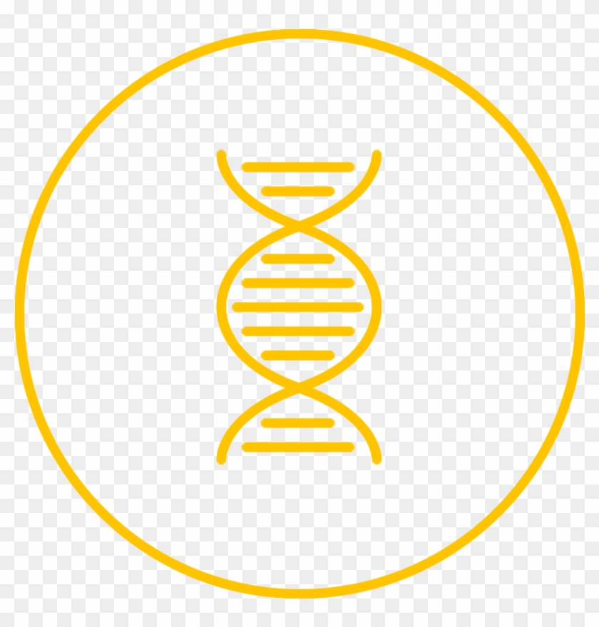 Rda And The Biomedical Sciences - Circle Clipart #5795231