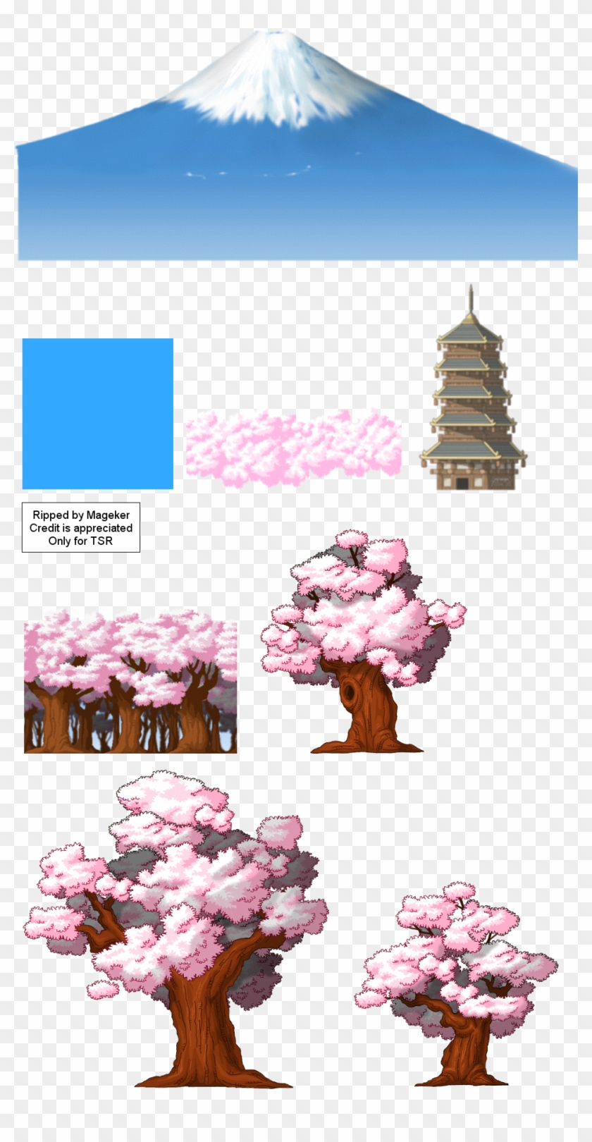 Thumb Image - Cherry Blossom Clipart #5795856